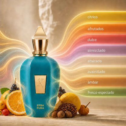 ⚡️ SE IRRESISTIBLE 🔥 Xerjoff Erba Pura - 100 mL